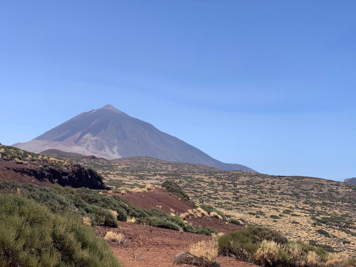 Sunny Tenerife, Los Cristianos, Studio Лос Кристианос Экстерьер фото